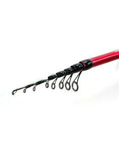 Lineaeffe Discovery Match 4,50 m 20-80 g Canna Telescopica da Pesca 2