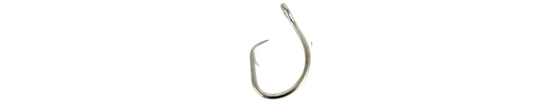 Ami da pesca e Assist